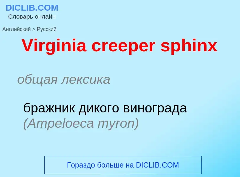 Übersetzung von &#39Virginia creeper sphinx&#39 in Russisch