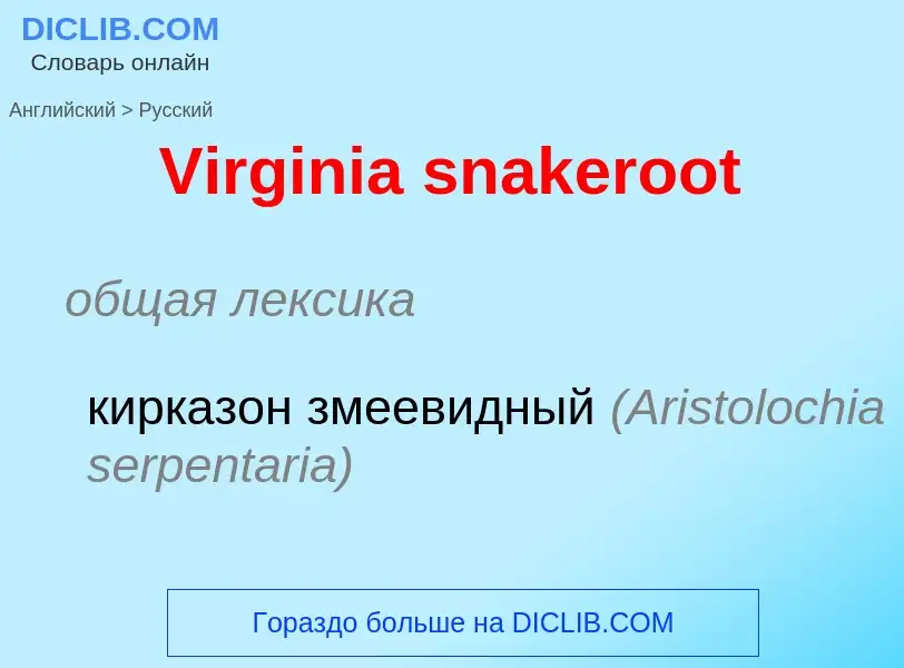 ¿Cómo se dice Virginia snakeroot en Ruso? Traducción de &#39Virginia snakeroot&#39 al Ruso