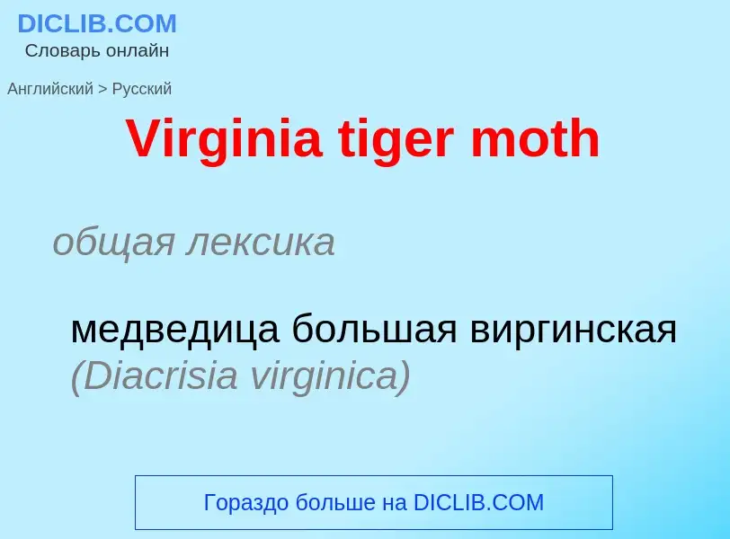 Как переводится Virginia tiger moth на Русский язык