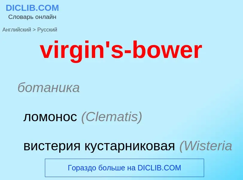 ¿Cómo se dice virgin's-bower en Ruso? Traducción de &#39virgin's-bower&#39 al Ruso