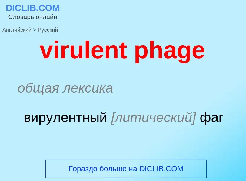 ¿Cómo se dice virulent phage en Ruso? Traducción de &#39virulent phage&#39 al Ruso