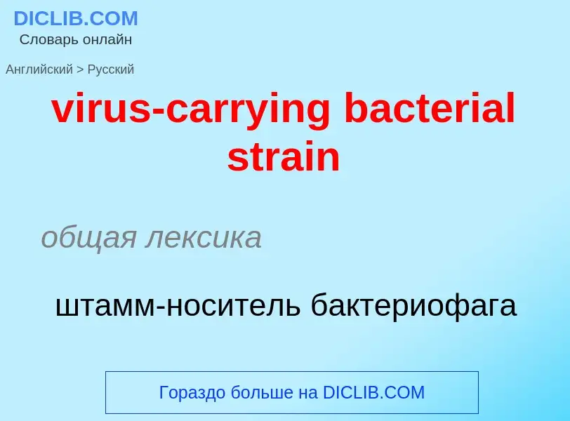 ¿Cómo se dice virus-carrying bacterial strain en Ruso? Traducción de &#39virus-carrying bacterial st