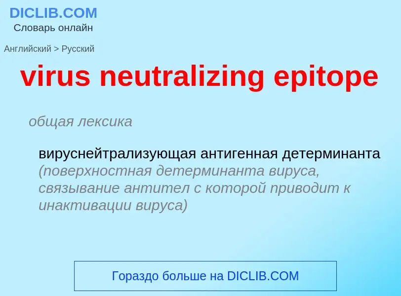 ¿Cómo se dice virus neutralizing epitope en Ruso? Traducción de &#39virus neutralizing epitope&#39 a