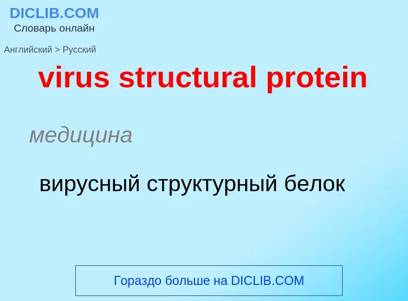 ¿Cómo se dice virus structural protein en Ruso? Traducción de &#39virus structural protein&#39 al Ru