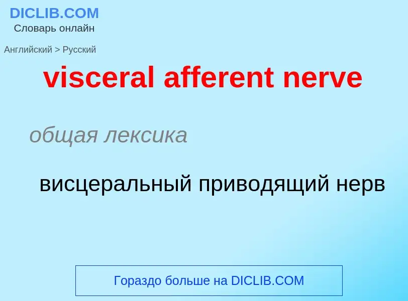 ¿Cómo se dice visceral afferent nerve en Ruso? Traducción de &#39visceral afferent nerve&#39 al Ruso