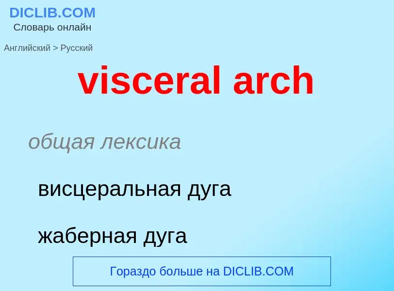 ¿Cómo se dice visceral arch en Ruso? Traducción de &#39visceral arch&#39 al Ruso