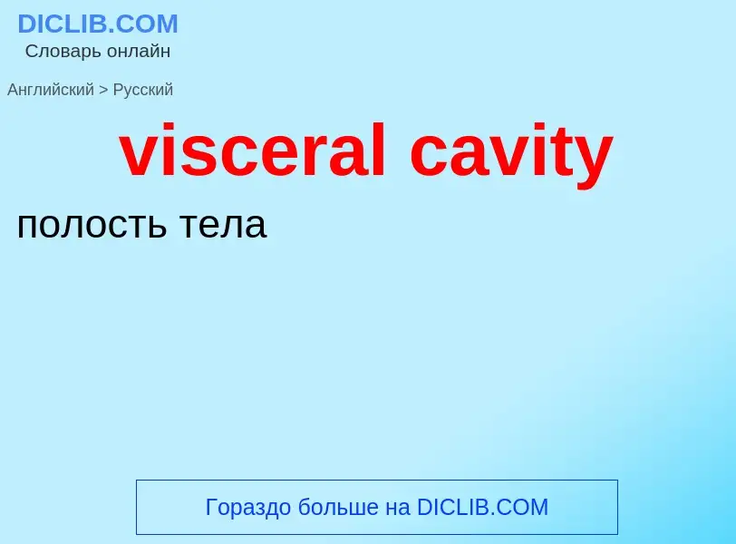 ¿Cómo se dice visceral cavity en Ruso? Traducción de &#39visceral cavity&#39 al Ruso