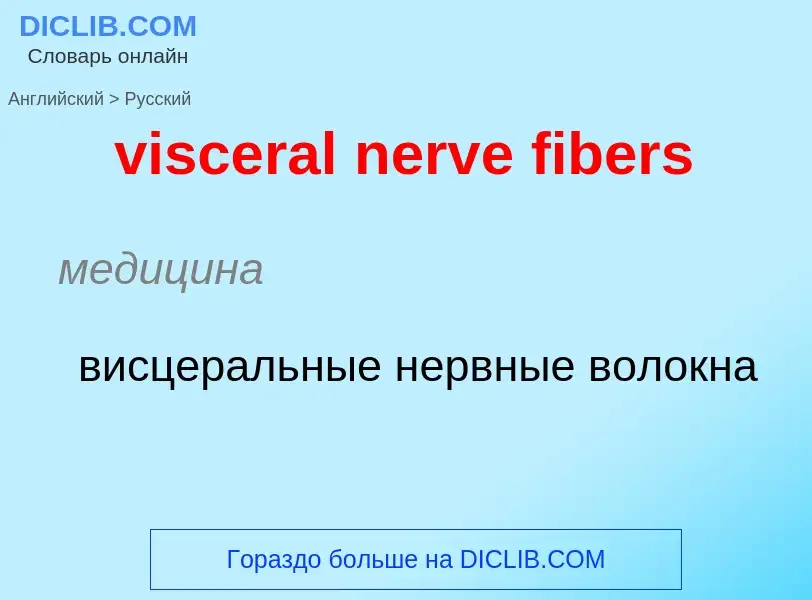 ¿Cómo se dice visceral nerve fibers en Ruso? Traducción de &#39visceral nerve fibers&#39 al Ruso