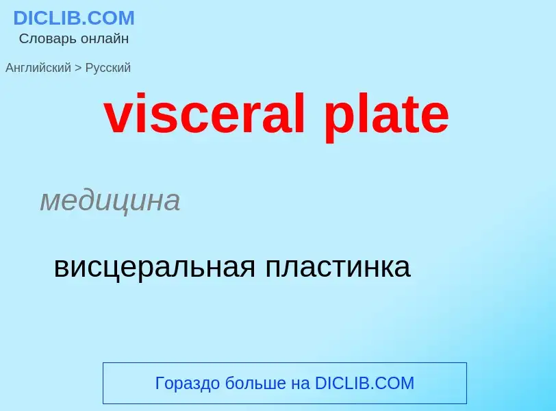 ¿Cómo se dice visceral plate en Ruso? Traducción de &#39visceral plate&#39 al Ruso