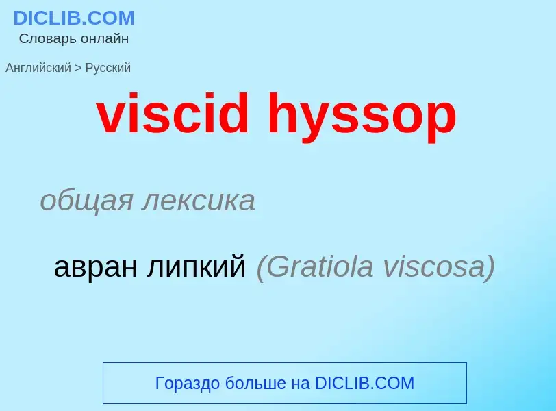 ¿Cómo se dice viscid hyssop en Ruso? Traducción de &#39viscid hyssop&#39 al Ruso