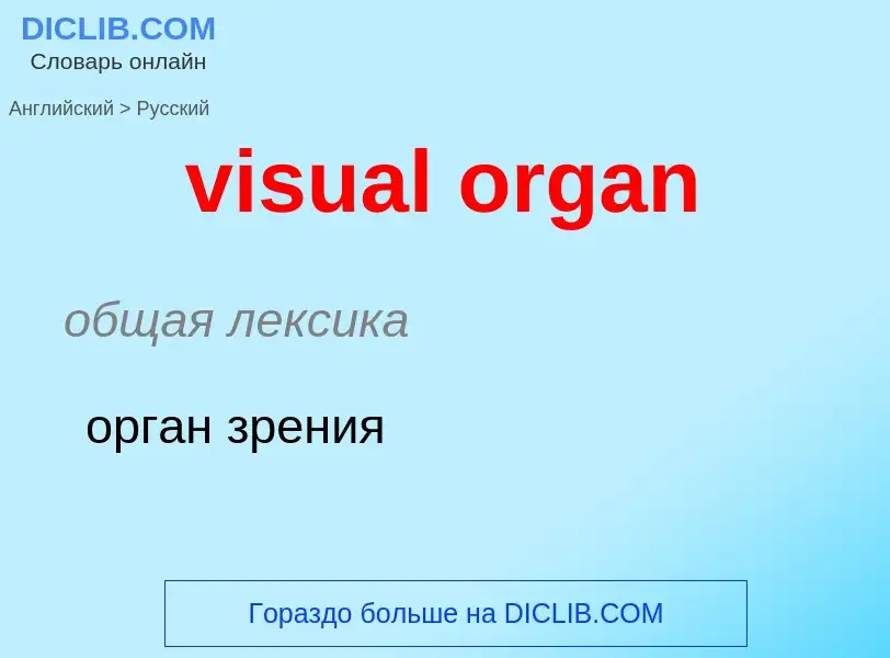 ¿Cómo se dice visual organ en Ruso? Traducción de &#39visual organ&#39 al Ruso