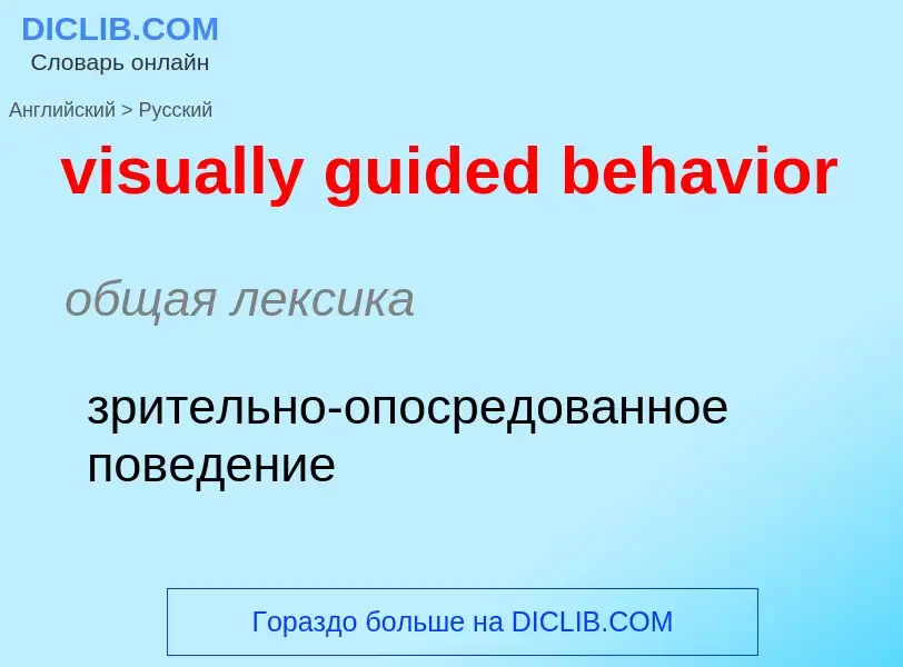 ¿Cómo se dice visually guided behavior en Ruso? Traducción de &#39visually guided behavior&#39 al Ru