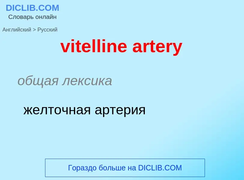 ¿Cómo se dice vitelline artery en Ruso? Traducción de &#39vitelline artery&#39 al Ruso