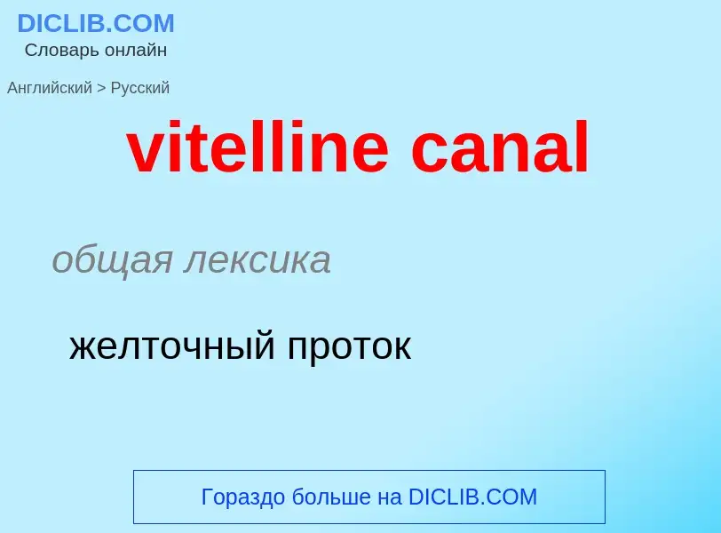 ¿Cómo se dice vitelline canal en Ruso? Traducción de &#39vitelline canal&#39 al Ruso