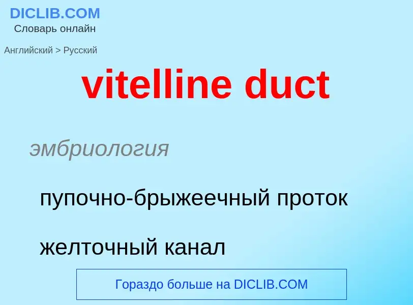 Как переводится vitelline duct на Русский язык