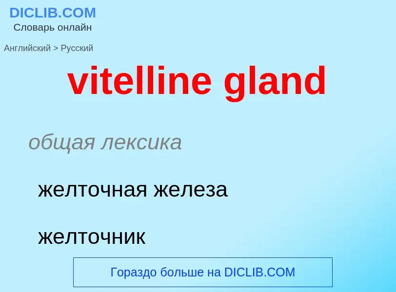 ¿Cómo se dice vitelline gland en Ruso? Traducción de &#39vitelline gland&#39 al Ruso