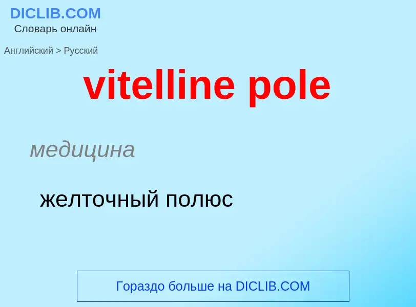 ¿Cómo se dice vitelline pole en Ruso? Traducción de &#39vitelline pole&#39 al Ruso