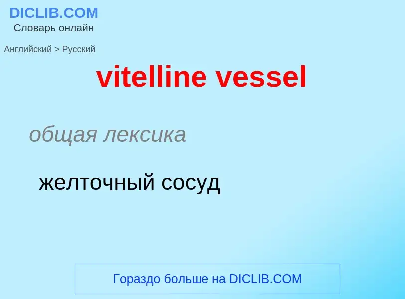 ¿Cómo se dice vitelline vessel en Ruso? Traducción de &#39vitelline vessel&#39 al Ruso