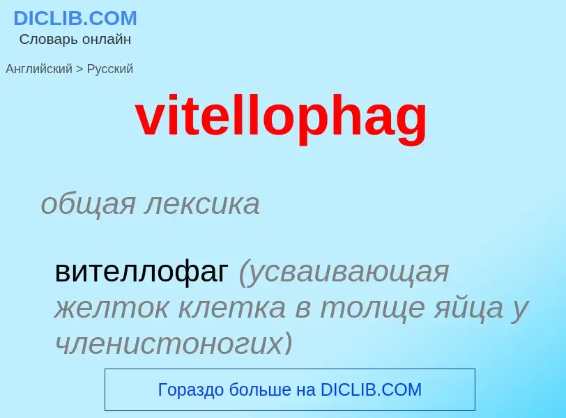 ¿Cómo se dice vitellophag en Ruso? Traducción de &#39vitellophag&#39 al Ruso