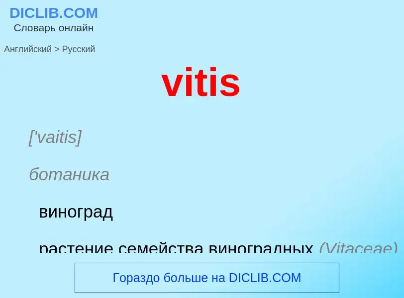 ¿Cómo se dice vitis en Ruso? Traducción de &#39vitis&#39 al Ruso