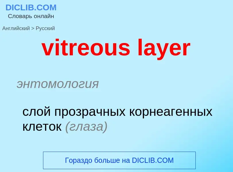 ¿Cómo se dice vitreous layer en Ruso? Traducción de &#39vitreous layer&#39 al Ruso