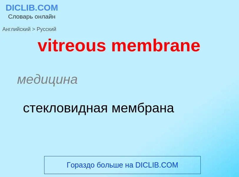 ¿Cómo se dice vitreous membrane en Ruso? Traducción de &#39vitreous membrane&#39 al Ruso