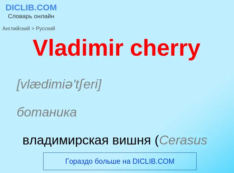 Μετάφραση του &#39Vladimir cherry&#39 σε Ρωσικά