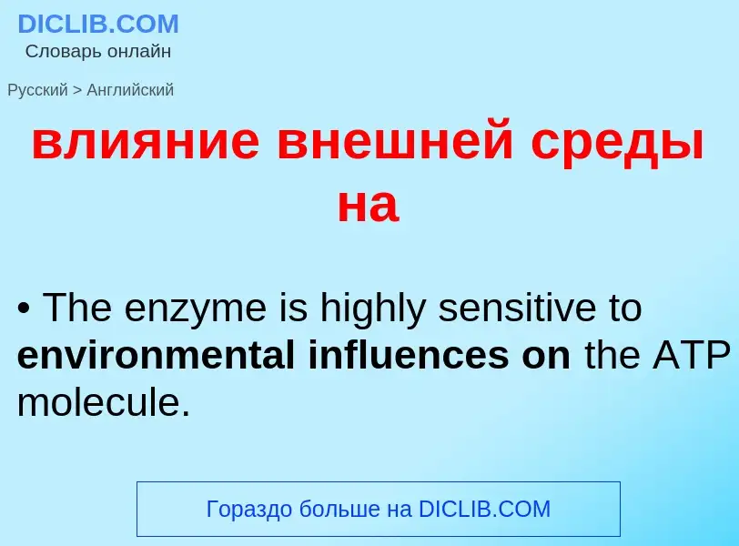 What is the English for влияние внешней среды на? Translation of &#39влияние внешней среды на&#39 to