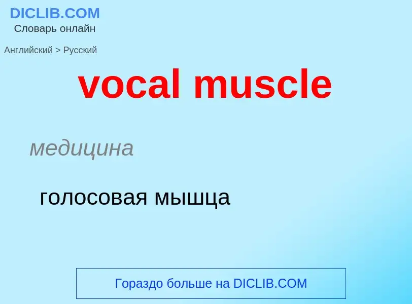 ¿Cómo se dice vocal muscle en Ruso? Traducción de &#39vocal muscle&#39 al Ruso