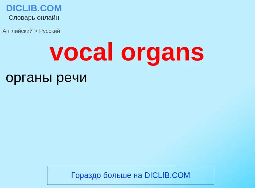 ¿Cómo se dice vocal organs en Ruso? Traducción de &#39vocal organs&#39 al Ruso