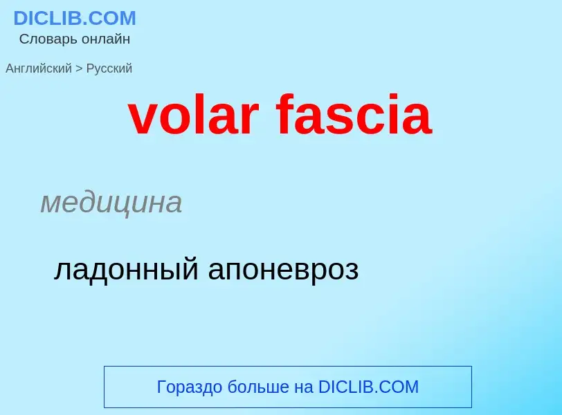 Как переводится volar fascia на Русский язык