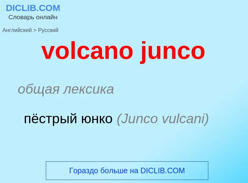 Как переводится volcano junco на Русский язык