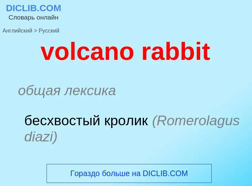 Как переводится volcano rabbit на Русский язык