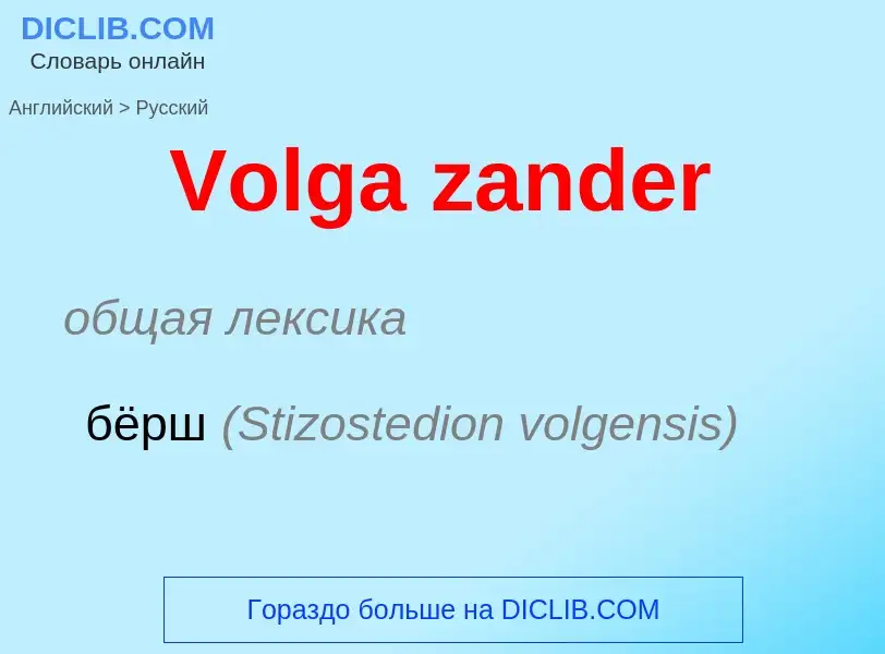 Como se diz Volga zander em Russo? Tradução de &#39Volga zander&#39 em Russo