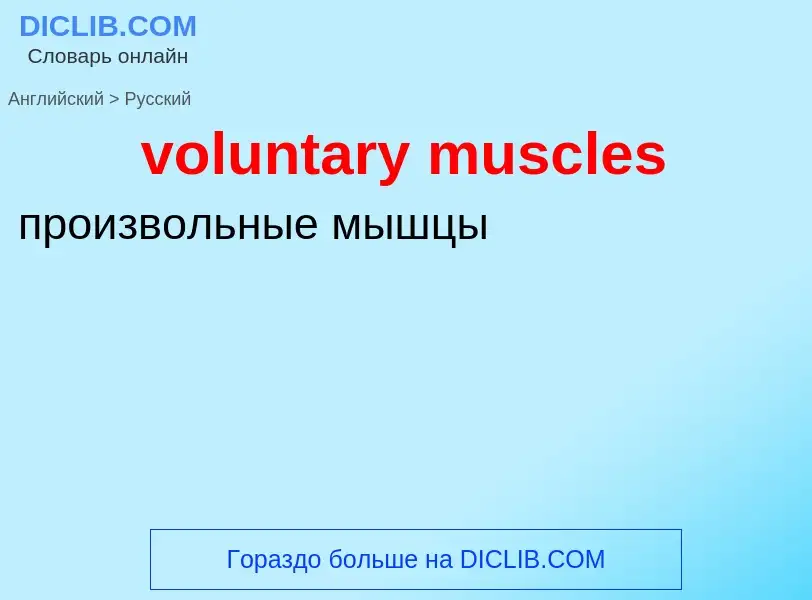 Как переводится voluntary muscles на Русский язык