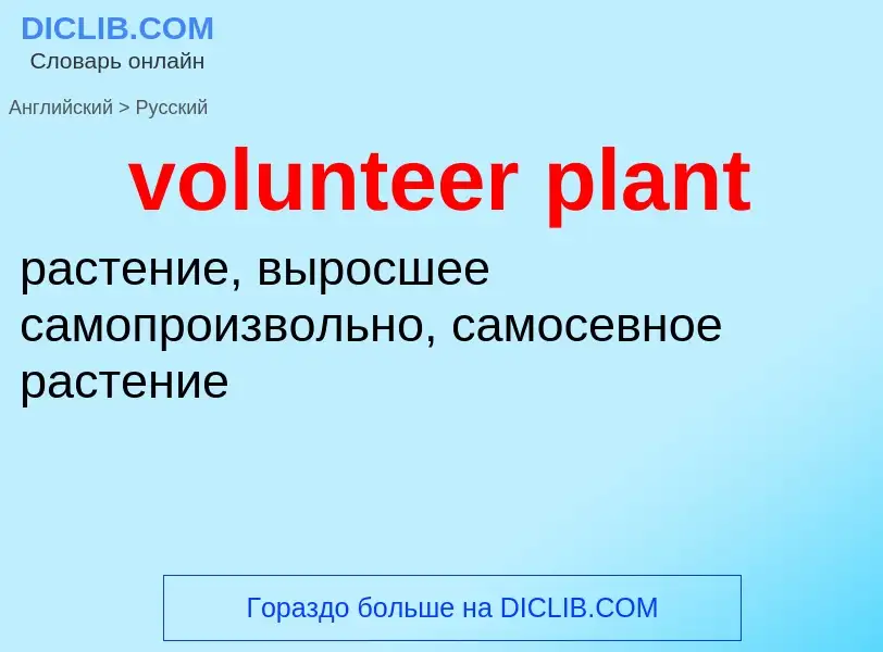 Как переводится volunteer plant на Русский язык