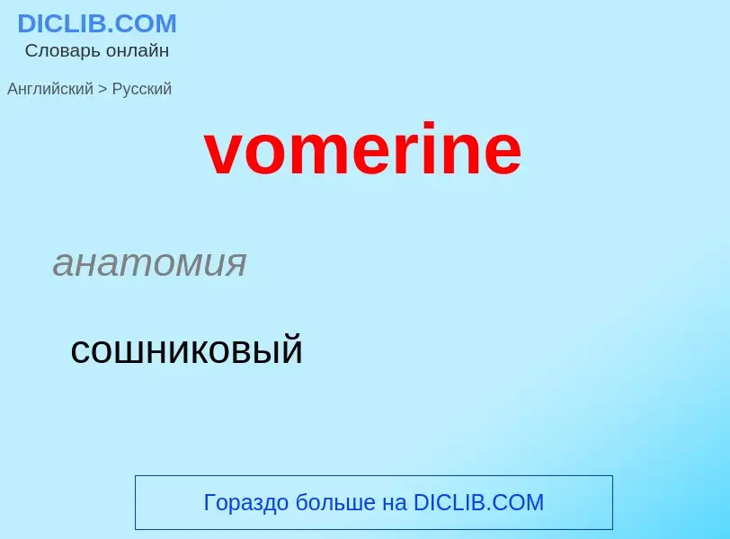 Как переводится vomerine на Русский язык