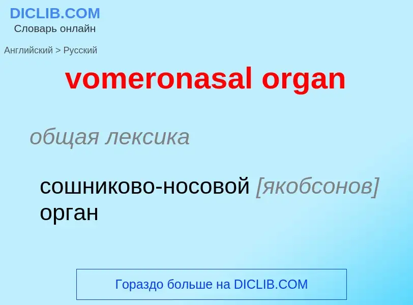 Как переводится vomeronasal organ на Русский язык