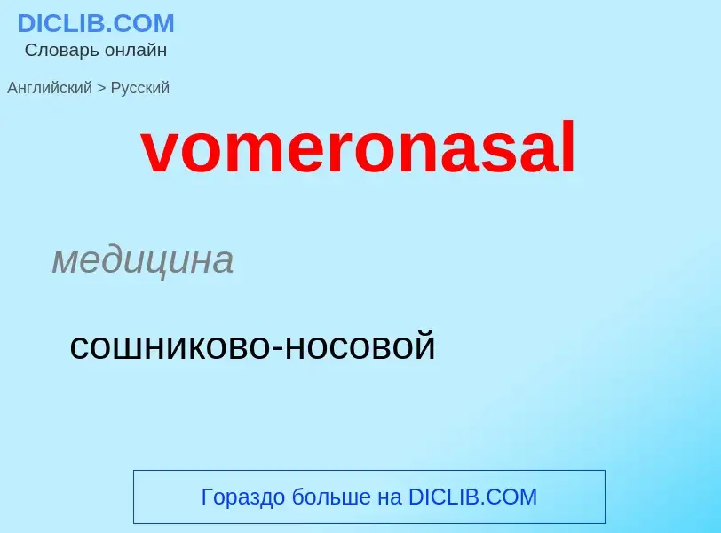 Как переводится vomeronasal на Русский язык