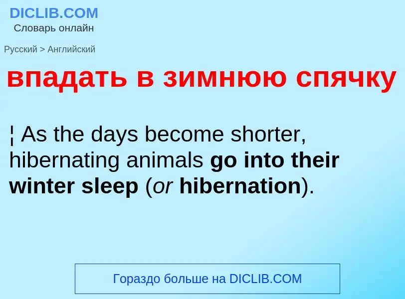 Как переводится впадать в зимнюю спячку на Английский язык