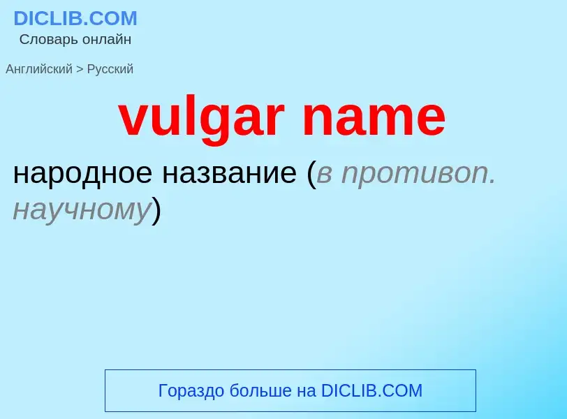 Как переводится vulgar name на Русский язык