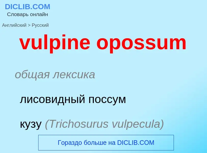 Μετάφραση του &#39vulpine opossum&#39 σε Ρωσικά