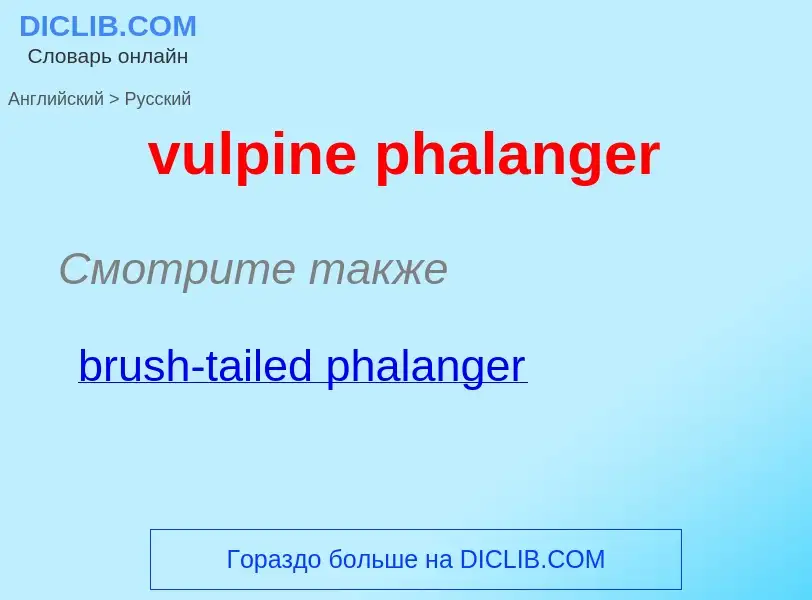 Как переводится vulpine phalanger на Русский язык