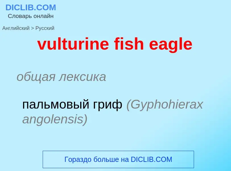 What is the Russian for vulturine fish eagle? Translation of &#39vulturine fish eagle&#39 to Russian