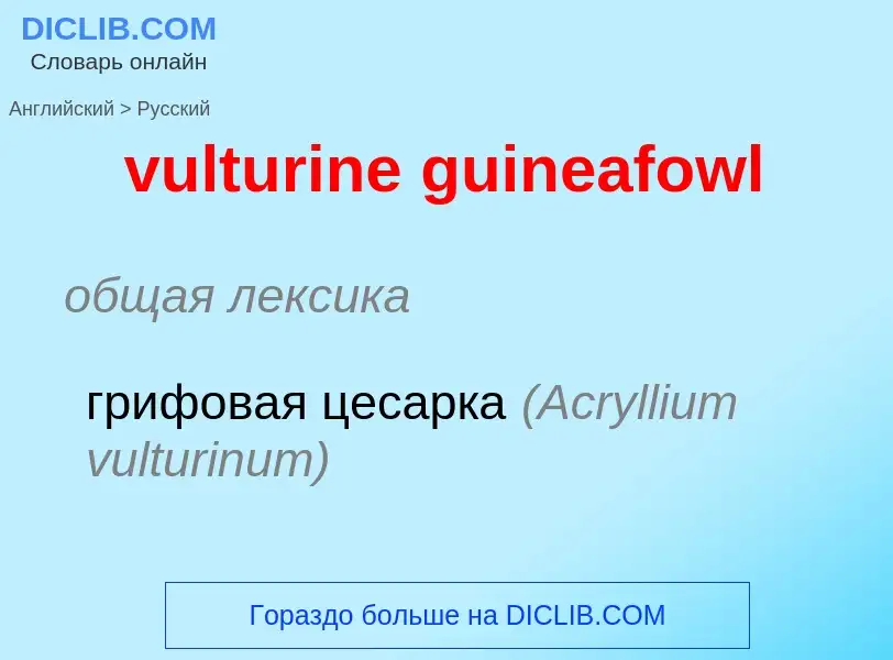 Как переводится vulturine guineafowl на Русский язык