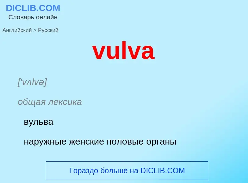 Μετάφραση του &#39vulva&#39 σε Ρωσικά