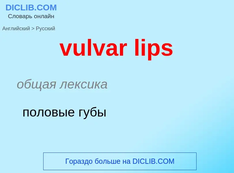 What is the Russian for vulvar lips? Translation of &#39vulvar lips&#39 to Russian