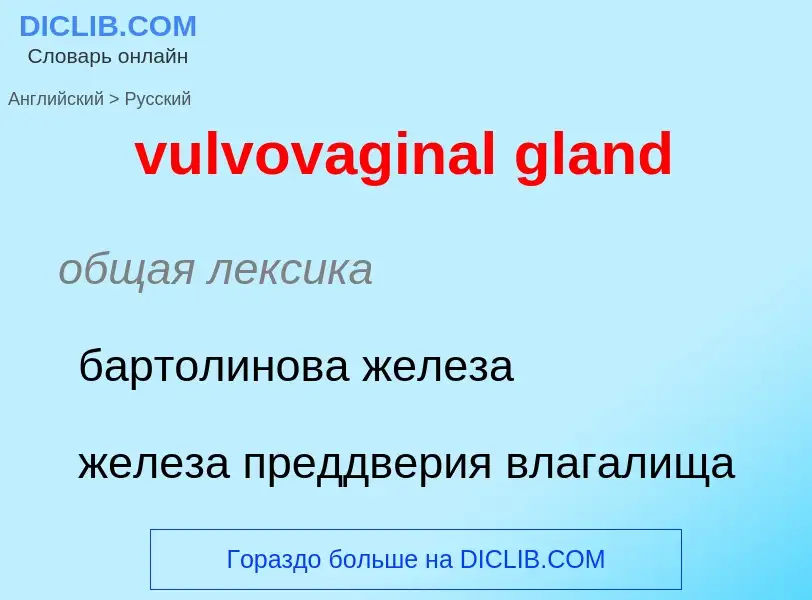 Как переводится vulvovaginal gland на Русский язык