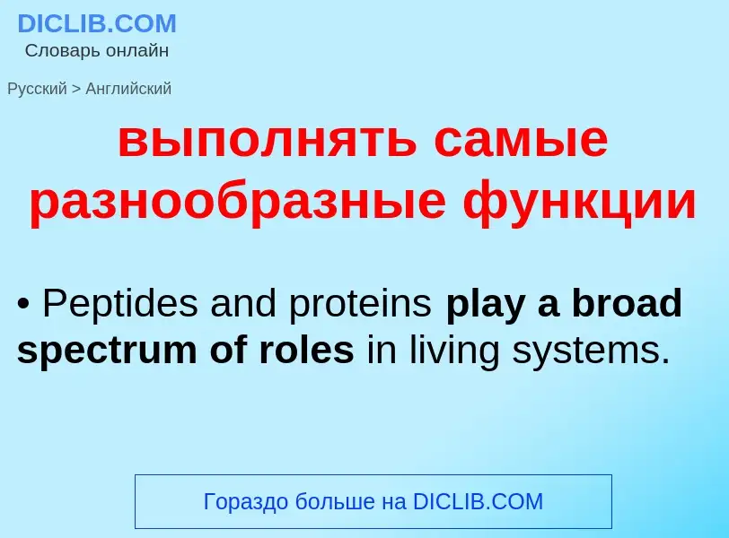 Как переводится выполнять самые разнообразные функции на Английский язык