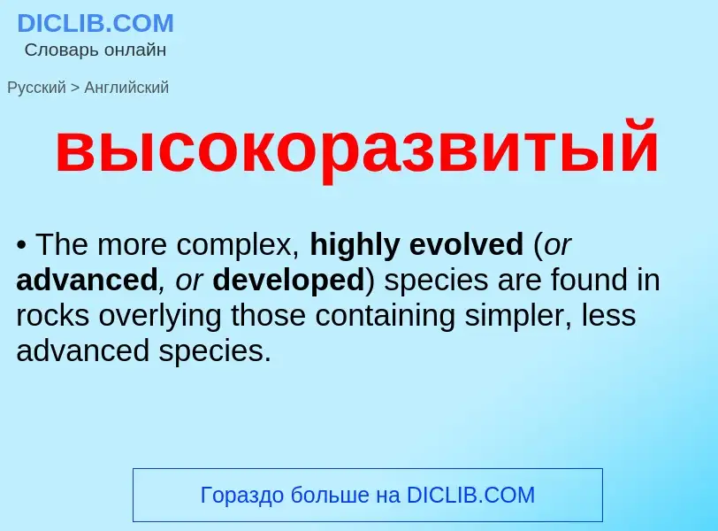 Как переводится высокоразвитый на Английский язык